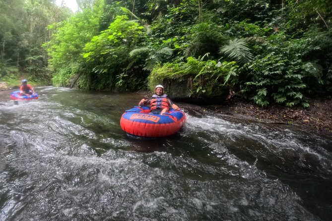 Ubud Tubing Adventure Holy Spring Temple Private Guided Tour - What the $58.34 price really covers