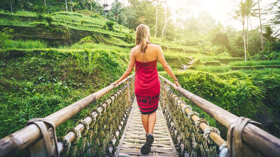 Ubud: Waterfall, Rice Terraces & Monkey Forest Private Tour - Key points to know before booking