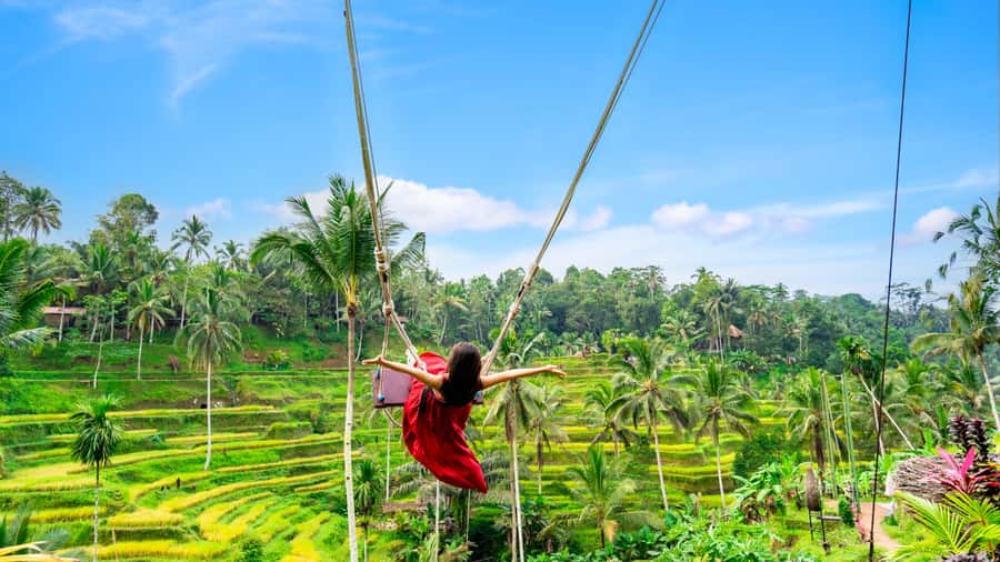 Ubud: Waterfall, Rice Terraces & Monkey Forest Private Tour - What this Ubud day actually delivers