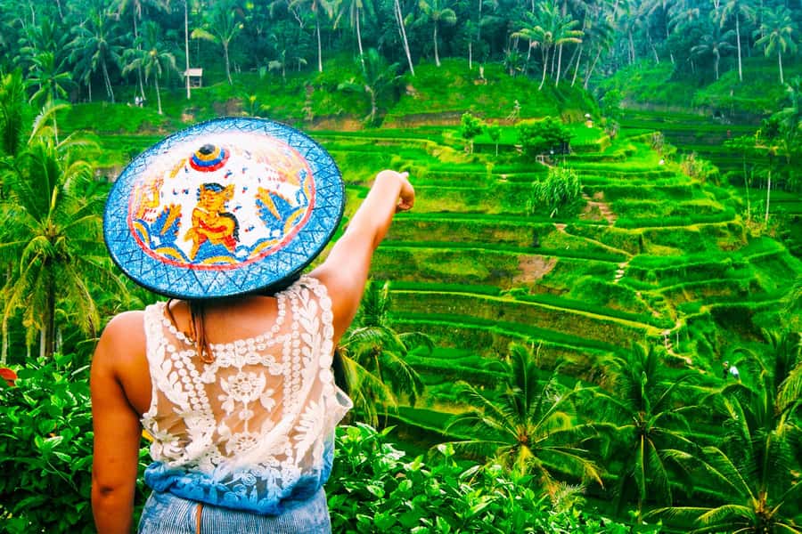 Ubud: Waterfall, Rice Terraces & Monkey Forest Private Tour - Mas Village and Bali’s woodcarving tradition