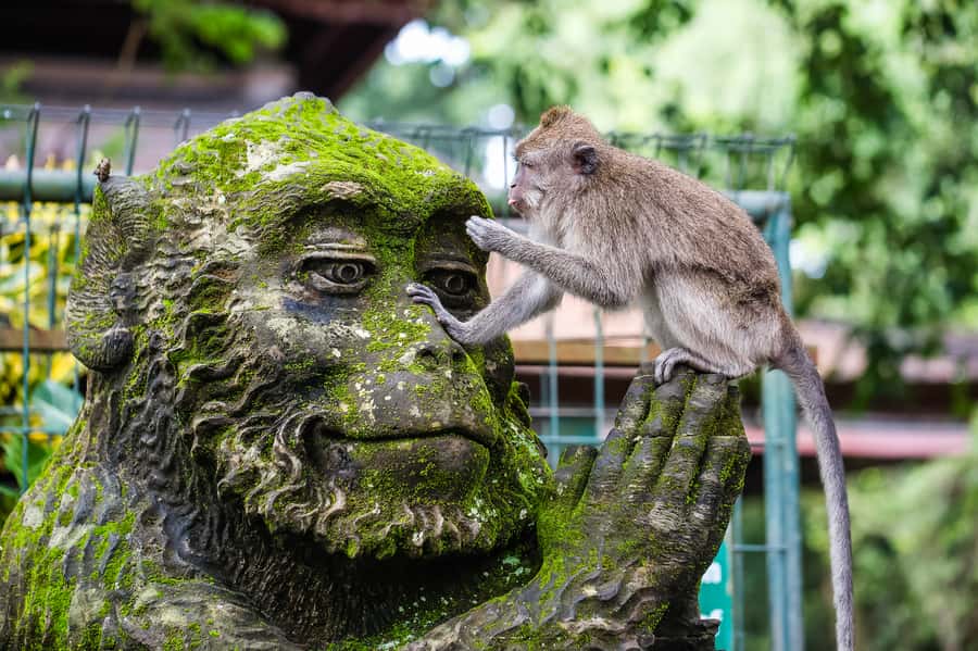 Ubud: Waterfall, Rice Terraces & Monkey Forest Private Tour - Tegenungan Waterfall: a refreshing first stop