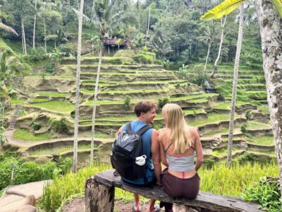 Ubud: Waterfalls, Water Temple & Rice Terraces Private Tour