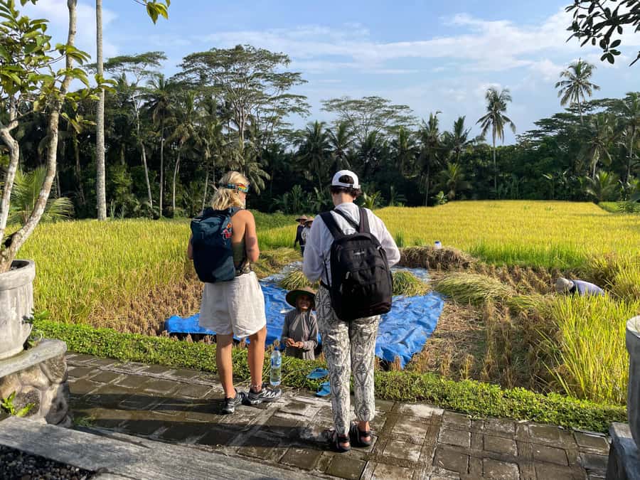 Ubud: Waterfalls, Water Temple & Rice Terraces Private Tour - Kanto Lampo is made for sitting on the rocks