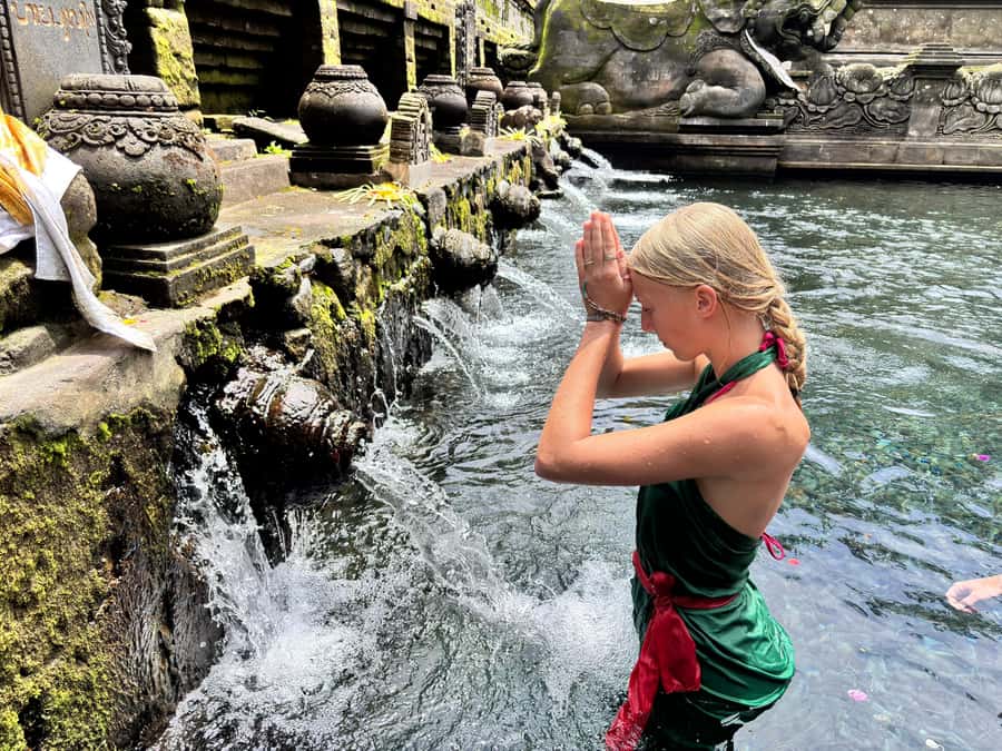 Ubud: Waterfalls, Water Temple & Rice Terraces Private Tour - Why the driver-guide matters more than the schedule