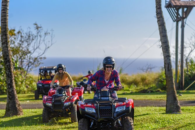 Umauma Falls Deluxe ATV Waterfall and Swim Experience - How the $224 price holds up