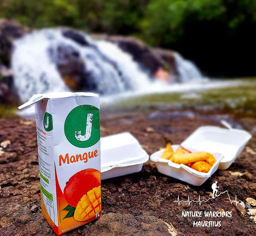 Vacoas-Phoenix: Private Hiking Tour to Tamarind Falls - Who should book this experience?
