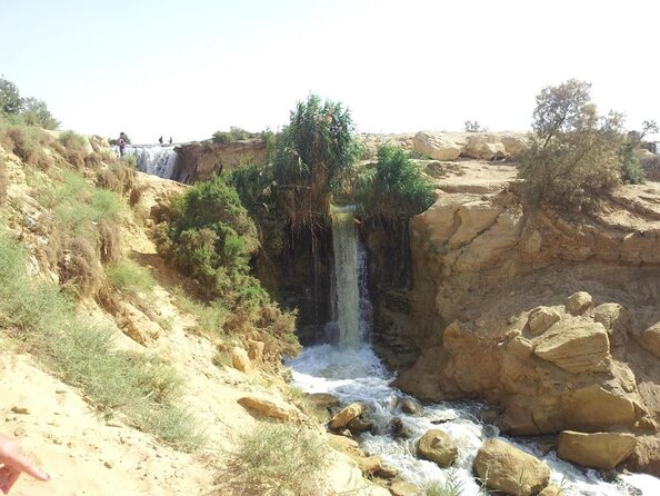 Valley of Whales and Wadi El Rayan Water Falls Day Tour from Cairo - What makes this Fayoum day trip worth considering