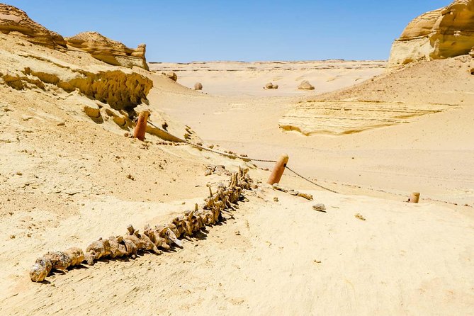 Valley of Whales and Wadi El Rayan Water Falls Day Tour from Cairo - Lake Qarun and Fayoum’s salt-water setting