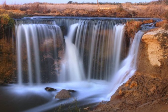 Valley of Whales and Wadi El Rayan Water Falls Day Tour from Cairo - Wadi Al Hitan, where whales became ocean mammals
