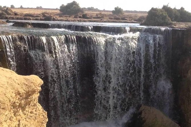 Valley of Whales and Wadi El Rayan Water Falls Day Tour from Cairo - What the $90 price really covers