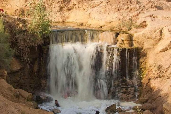 Valley of Whales and Wadi El Rayan Water Falls Day Tour from Cairo - Tunis Village and the first look at Fayoum