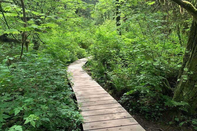 Vancouver Rainforest Hike with Waterfalls, Suspension Bridge, Old Growth Forest - Why Lynn Canyon makes such a good Vancouver escape