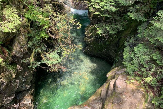 Vancouver Rainforest Hike with Waterfalls, Suspension Bridge, Old Growth Forest - Twin Falls, creek pools, and the longer walk