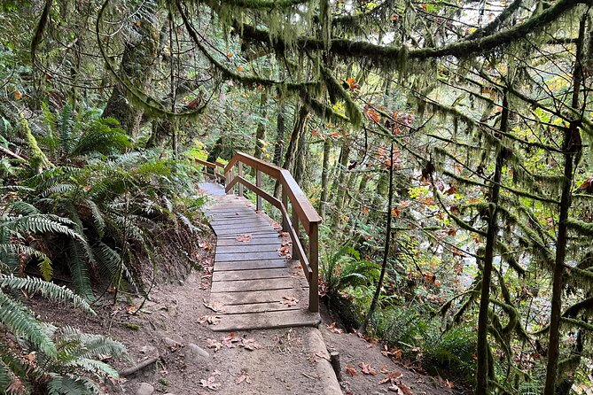Vancouver Rainforest Hike with Waterfalls, Suspension Bridge, Old Growth Forest - Adrian’s guiding style and the value of a small group