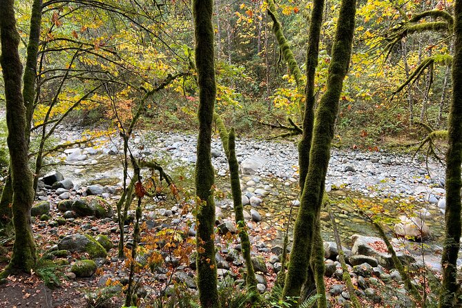 Vancouver Rainforest Hike with Waterfalls, Suspension Bridge, Old Growth Forest - What to wear and how hard to expect the hike to be