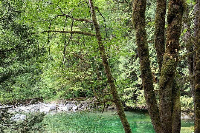 Vancouver Rainforest Hike with Waterfalls, Suspension Bridge, Old Growth Forest - Is $58.56 a fair price?