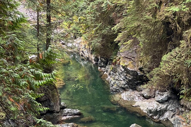 Vancouver Rainforest Hike with Waterfalls, Suspension Bridge, Old Growth Forest - Who should book this Lynn Canyon outing?