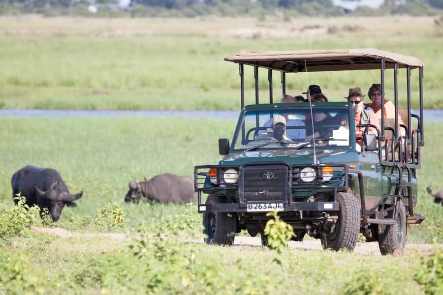 Victoria Falls: Chobe National Park Day Trip with Lunch - Why Chobe makes sense from Victoria Falls