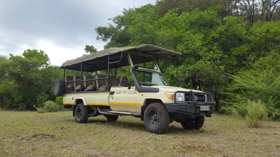 Victoria Falls: Chobe National Park Day Trip with Lunch - Who should book this Chobe day trip?