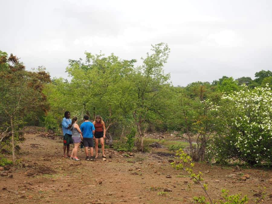 Victoria Falls Gorge Hike & Farm to Table Village Lunch - Who will enjoy this experience most?