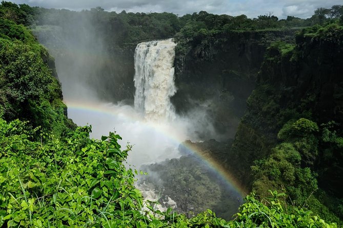 Victoria Falls Private Guided Sunrise Tour - Is the $50 price good value?