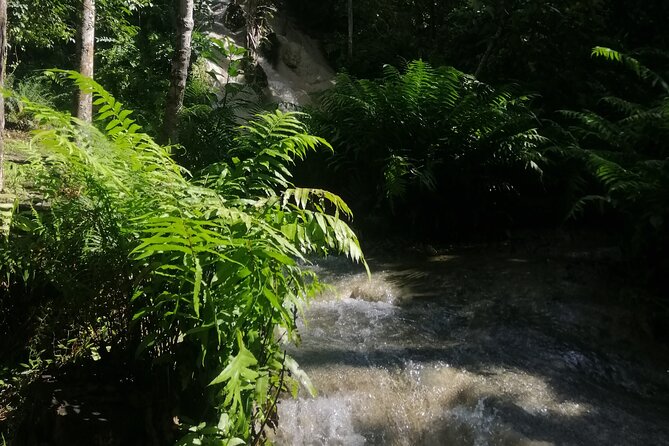 Visit Dantewada(Angel Land), Blue Temple, and Sticky Waterfall - Why this Chiang Mai day trip works