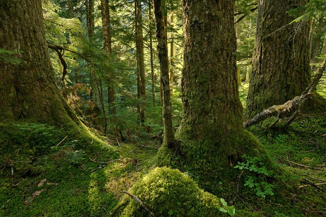 Visit Snoqualmie and Hike to Twin Falls (Transportation included) - What Jonny adds to the morning