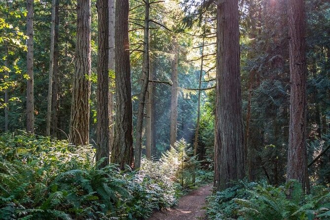 Visit Snoqualmie and Hike to Twin Falls (Transportation included) - Who should book this experience?