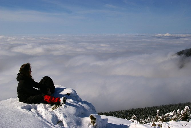 Vladeasa Peak and Bride's Waterfall Day Hike - The climb toward 1,836-meter Vlădeasa Peak