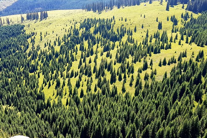 Vladeasa Peak and Bride's Waterfall Day Hike - Is the $132.32 price good value?
