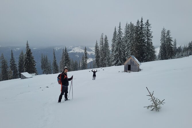Vladeasa Peak and Bride's Waterfall Day Hike - Who should book this hike?
