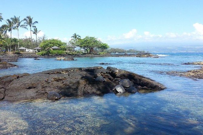 Volcano Adventure Tour & Waterfall - Shore Excursion from Hilo Harbor - Guides, vans, and group size