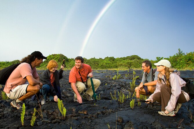 Volcano, Chocolate and Waterfalls of the Big Island - A volcanic day that asks for your time