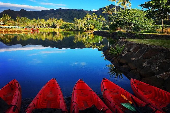 Wailua River & Waterfalls Kayak Tour: Expert-Guided Adventure - What the kayak equipment includes