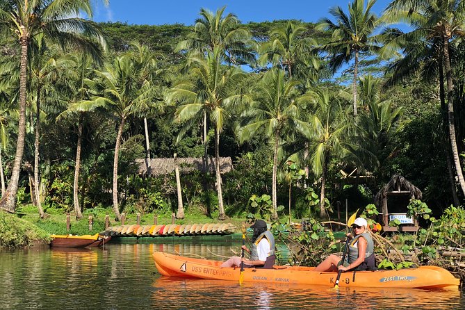 Wailua River & Waterfalls Kayak Tour: Expert-Guided Adventure - Reaching the 110-foot waterfall