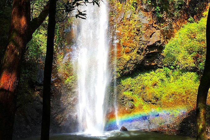 Wailua River & Waterfalls Kayak Tour: Expert-Guided Adventure - Why the guides make a difference