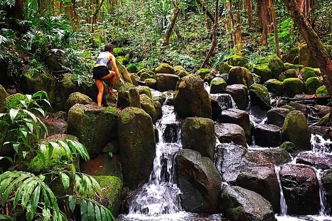 Wailua River & Waterfalls Kayak Tour: Expert-Guided Adventure - Footwear is the decision that matters most
