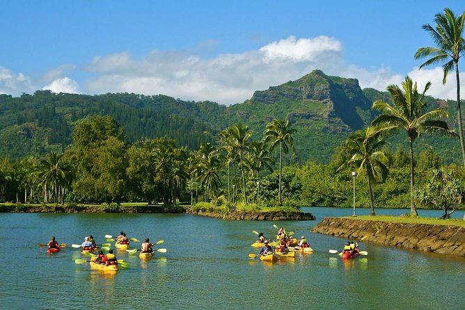 Wailua River & Waterfalls Kayak Tour: Expert-Guided Adventure - Is $145.86 a fair price?