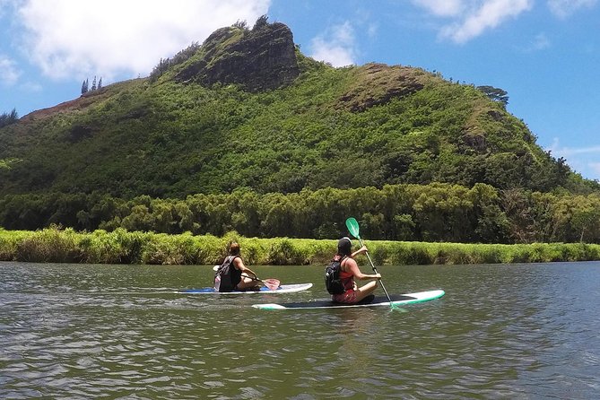 Wailua River & Waterfalls Kayak Tour: Expert-Guided Adventure - Who should choose this Kauai adventure?