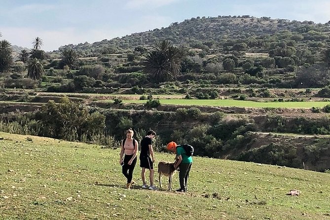 Walk to the cascade and marabout of Sidi Mbark & for a tea to Kaouki - The three-hour walk through dunes and sand