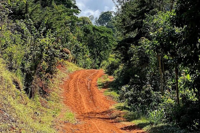 Waterfall, coffee tour & hot springs - lunch and drinks included - Who should book this experience