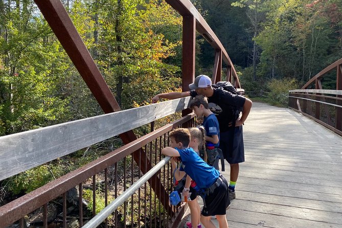 Waterfall Jeep Tour - Backroads and Scenic Views - What the guides add to the outing