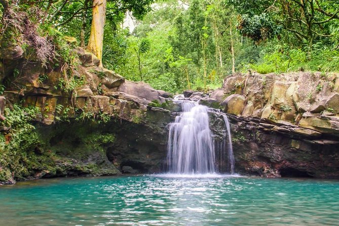 Waterfall & Rainforest Hiking Adventure with Hotel Pickup - What may disappoint you