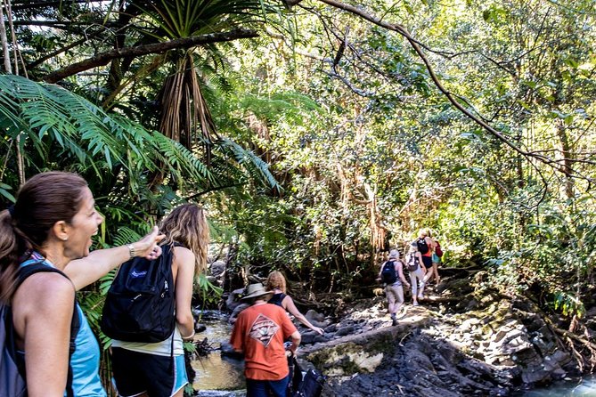 Waterfall & Rainforest Hiking Adventure with Hotel Pickup - Is $229.32 a fair price?