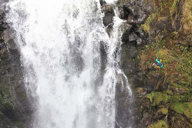Waterfall Rappelling at Kulaniapia Falls: 120 Foot Drop, 15 Minutes from Hilo - What the Kulaniapia Falls rappel is really like