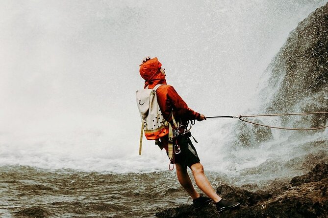 Waterfall Rappelling at Kulaniapia Falls: 120 Foot Drop, 15 Minutes from Hilo - Exploring the private waterfall property afterward