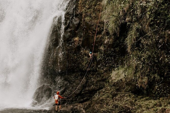 Waterfall Rappelling at Kulaniapia Falls: 120 Foot Drop, 15 Minutes from Hilo - Is $279 a fair price?