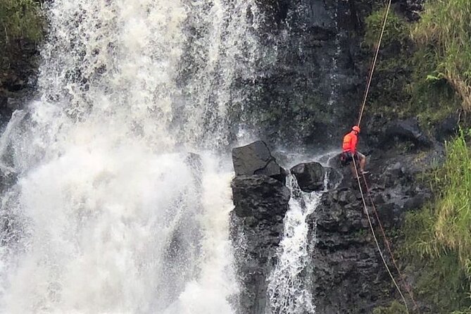 Waterfall Rappelling at Kulaniapia Falls: 120 Foot Drop, 15 Minutes from Hilo - Who should book this Hilo adventure?