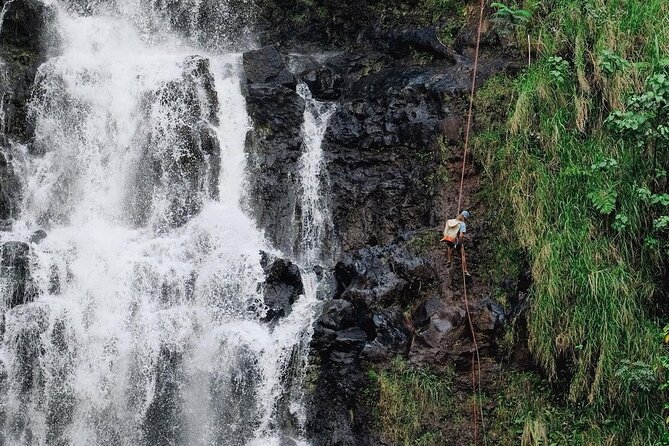 Waterfall Rappelling at Kulaniapia Falls: 120 Foot Drop, 15 Minutes from Hilo - What the three-hour schedule feels like