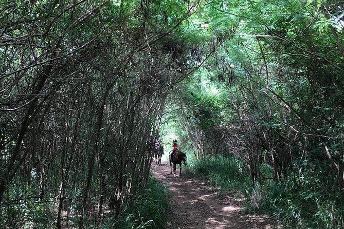 West Maui Mountain Waterfall and Ocean Tour via Horseback - Descending toward the Pacific